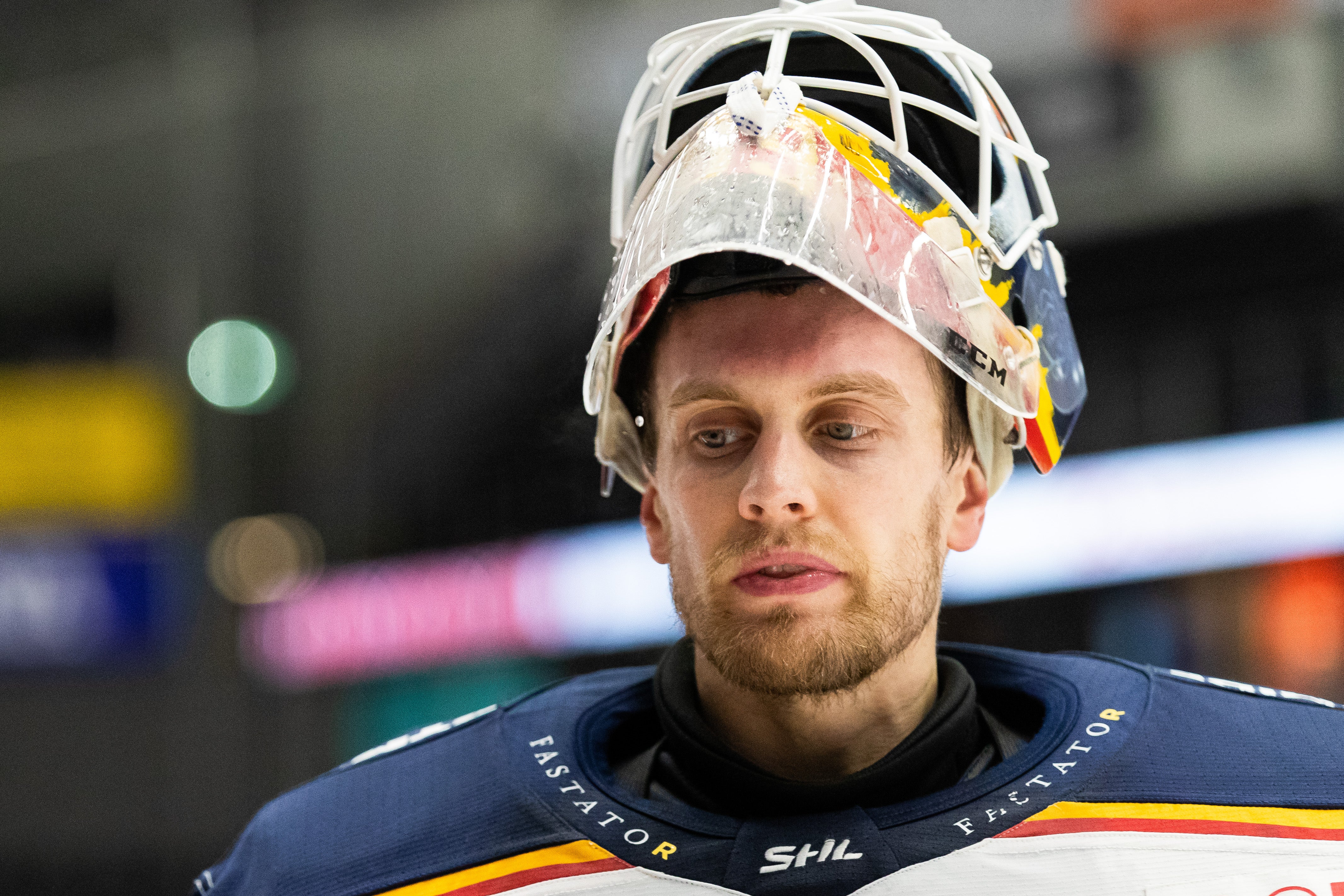 (31641) Niklas Svedberg