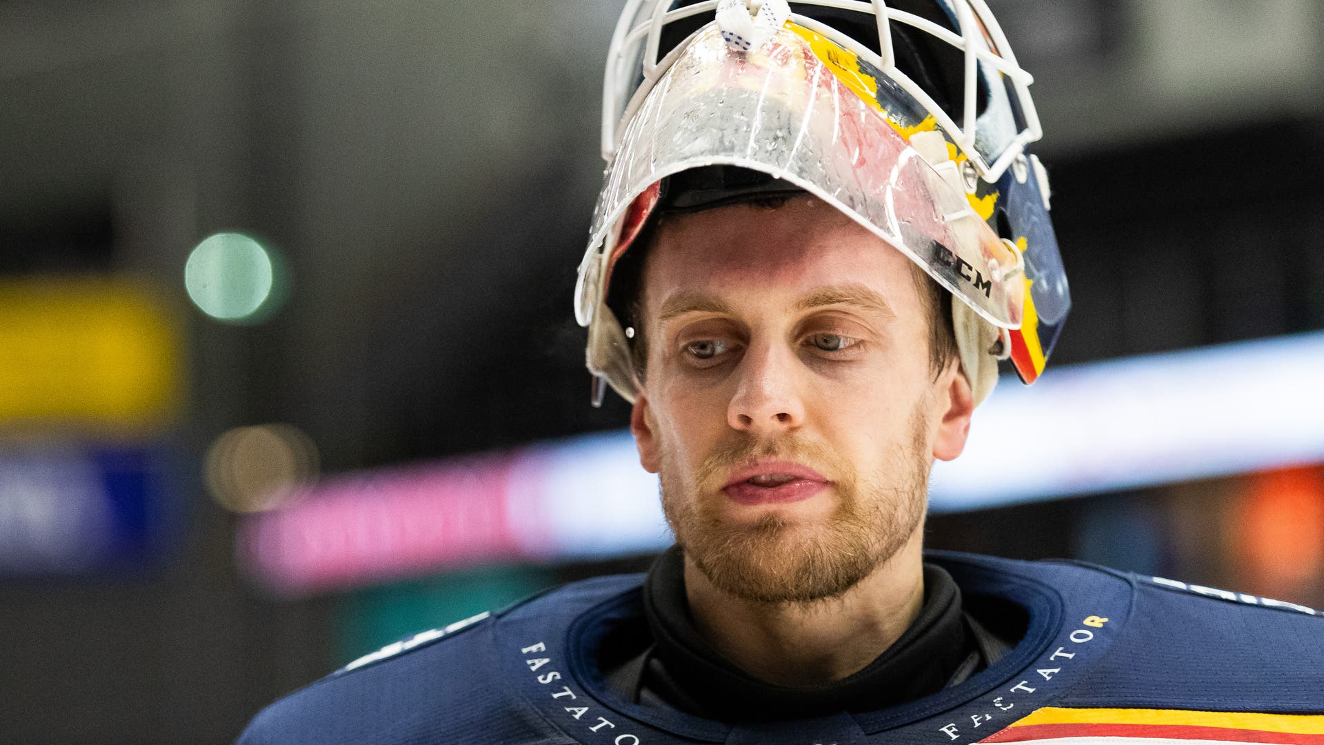 (31641) Niklas Svedberg