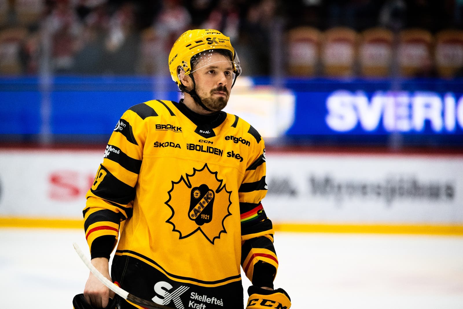 (24264) Jayce Hawryluk