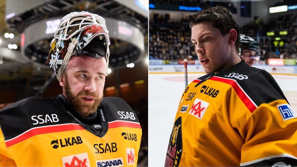 (14204) David Ratio/Jesper Wallstedt