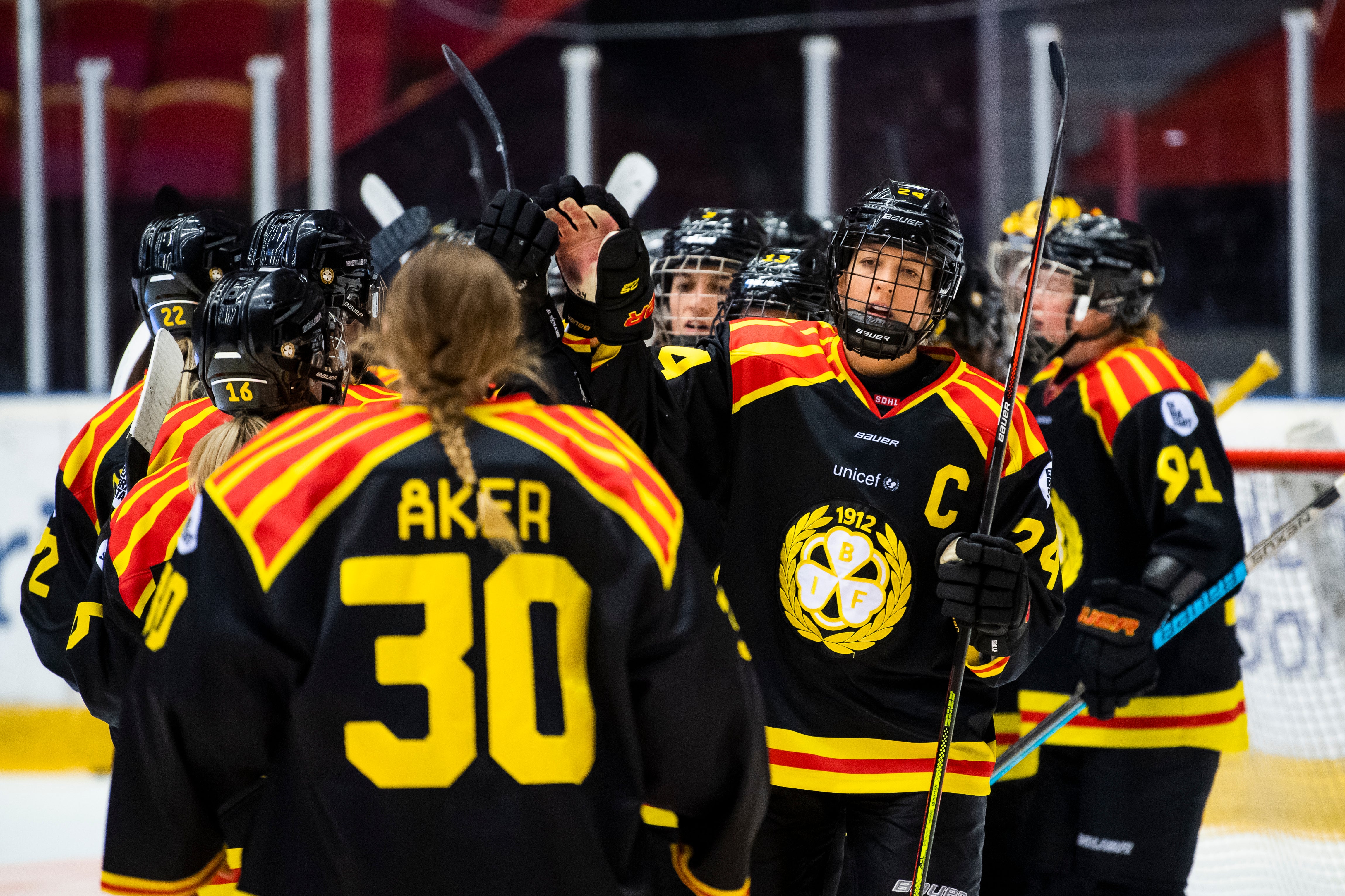 (9966) Brynäs dam