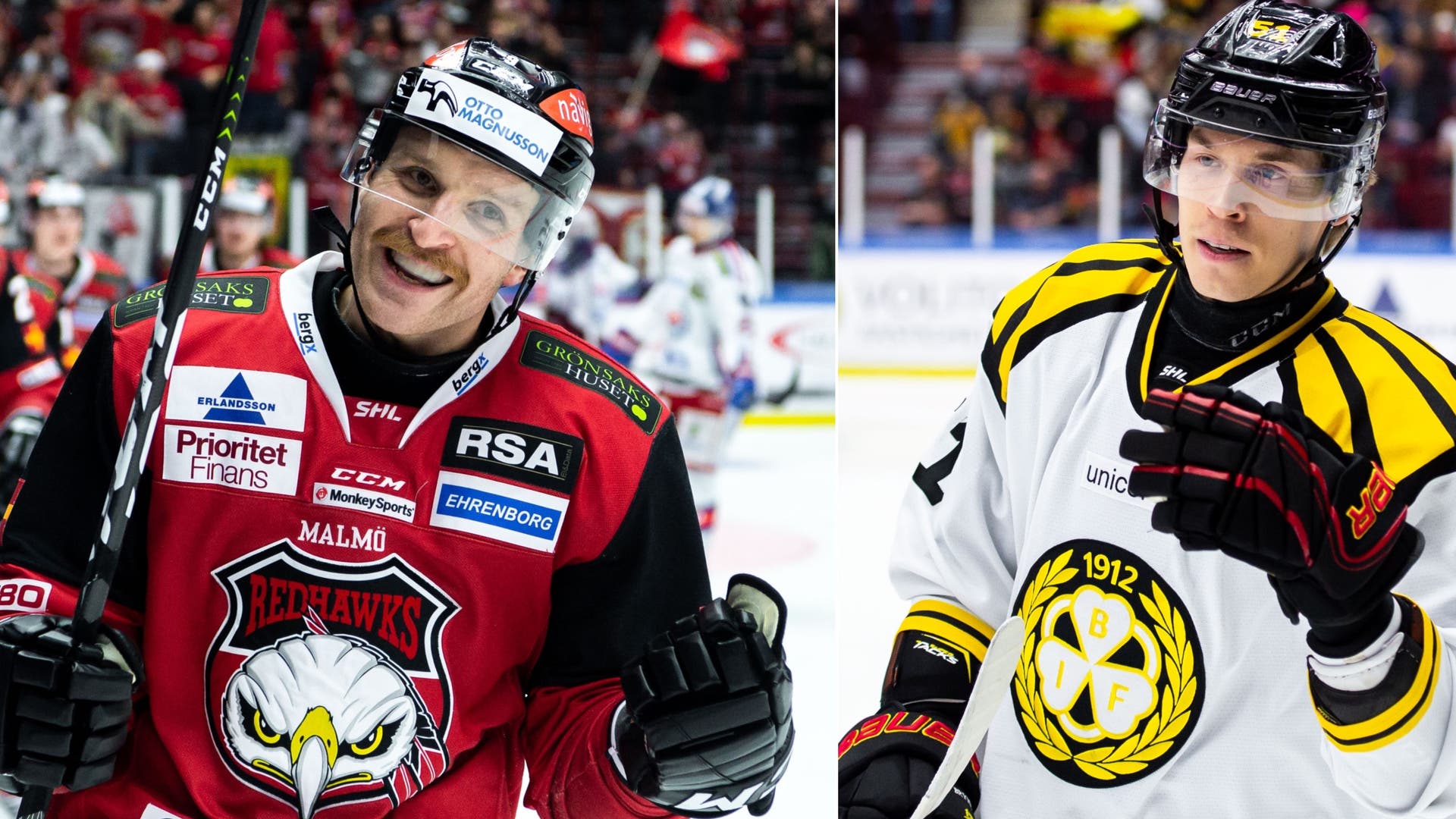 (13568) storm/Sallinen