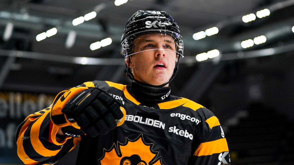 (16723) Jonatan Berggren/Skellefteå