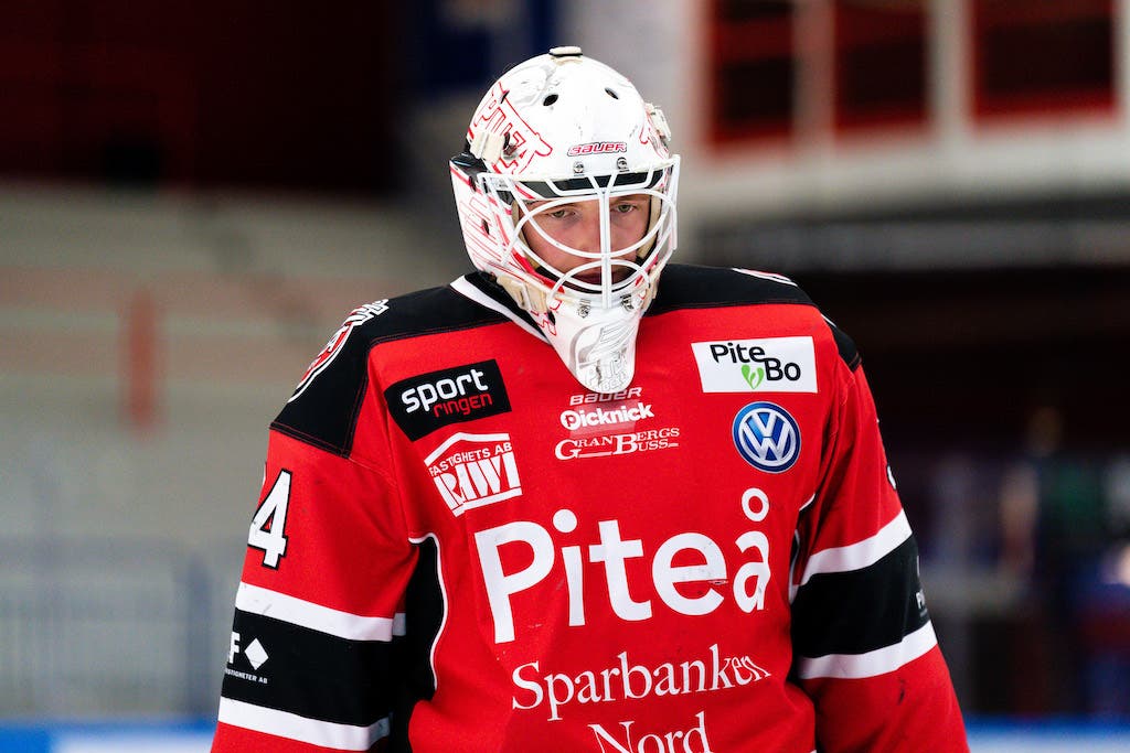 (30818) Johannes Sundström