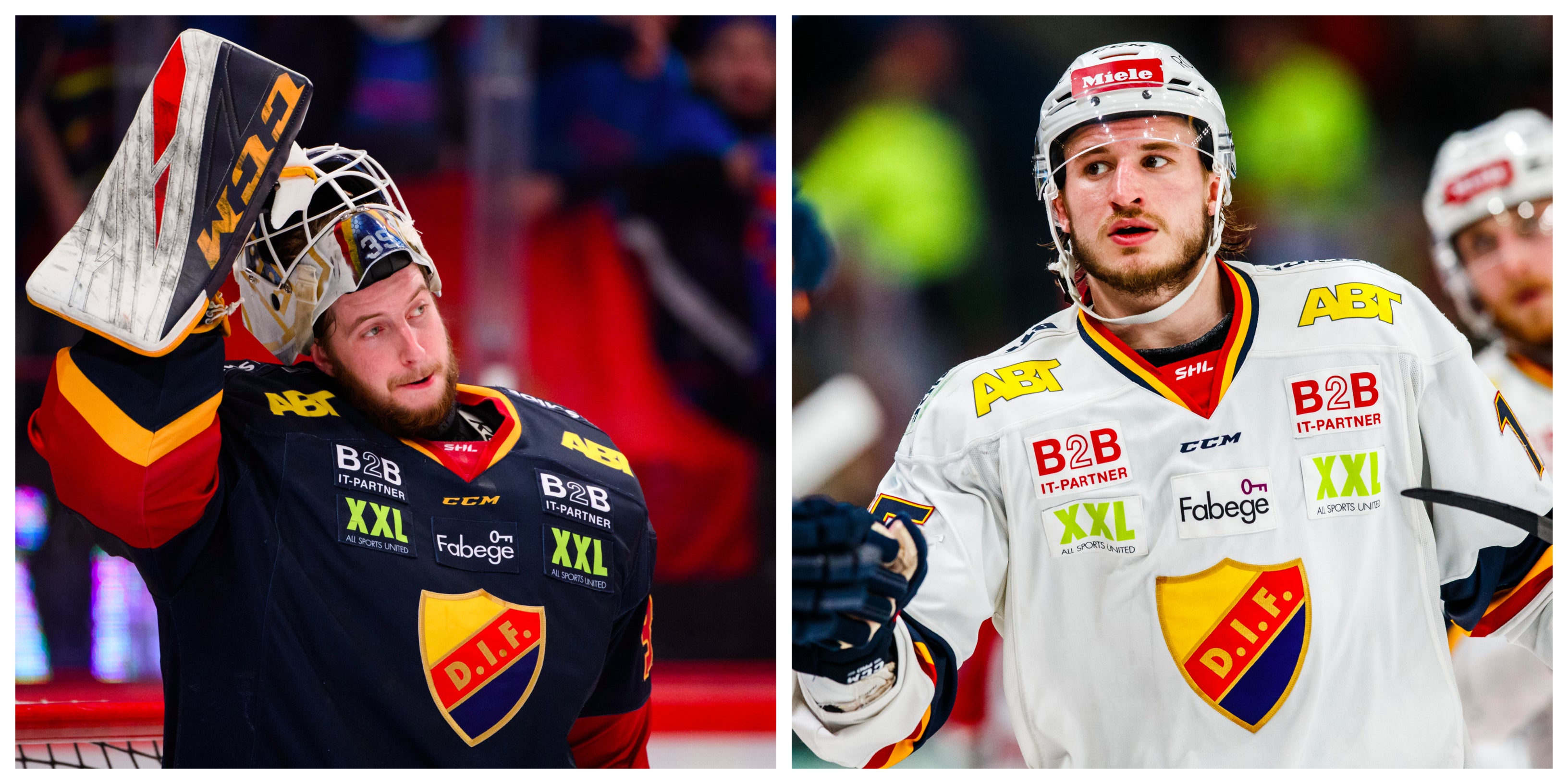 (8653) Reideborn/Lilja