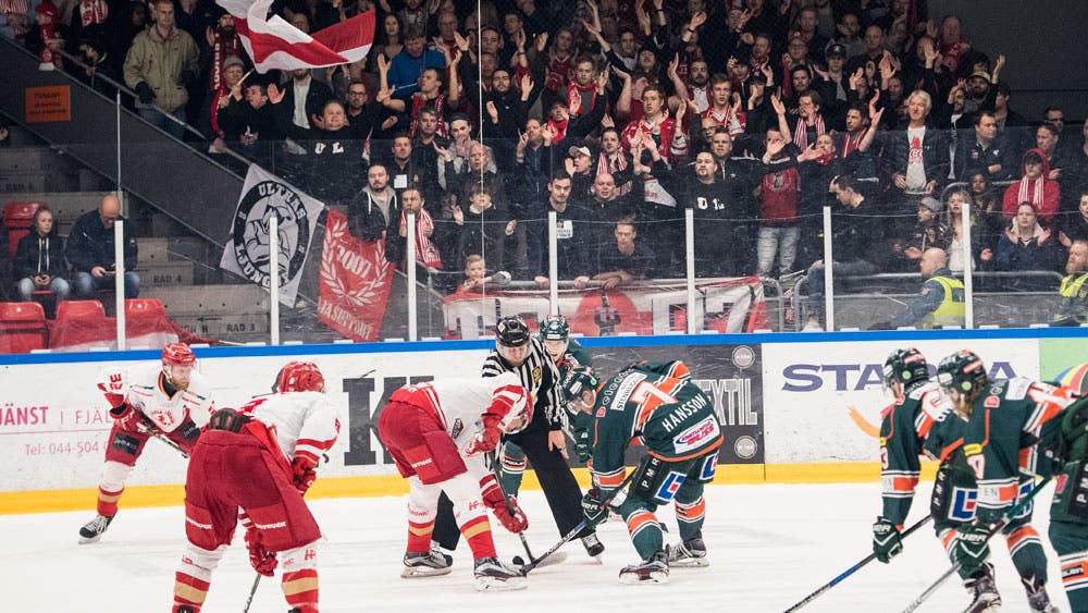 Petter Arvidson/Bildbyrån