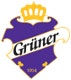 Grüner Ishockey