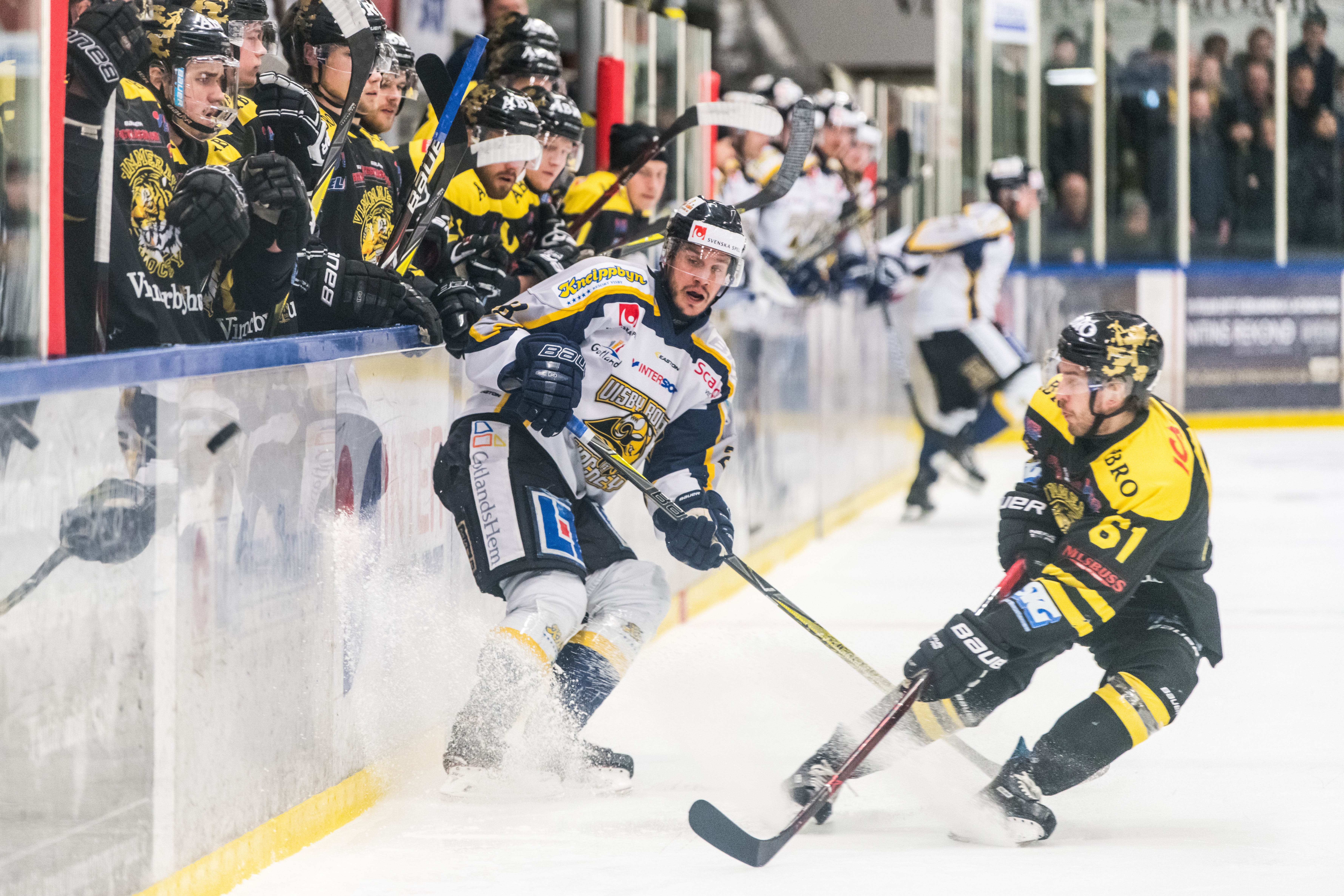 (3065) visby vimmerby