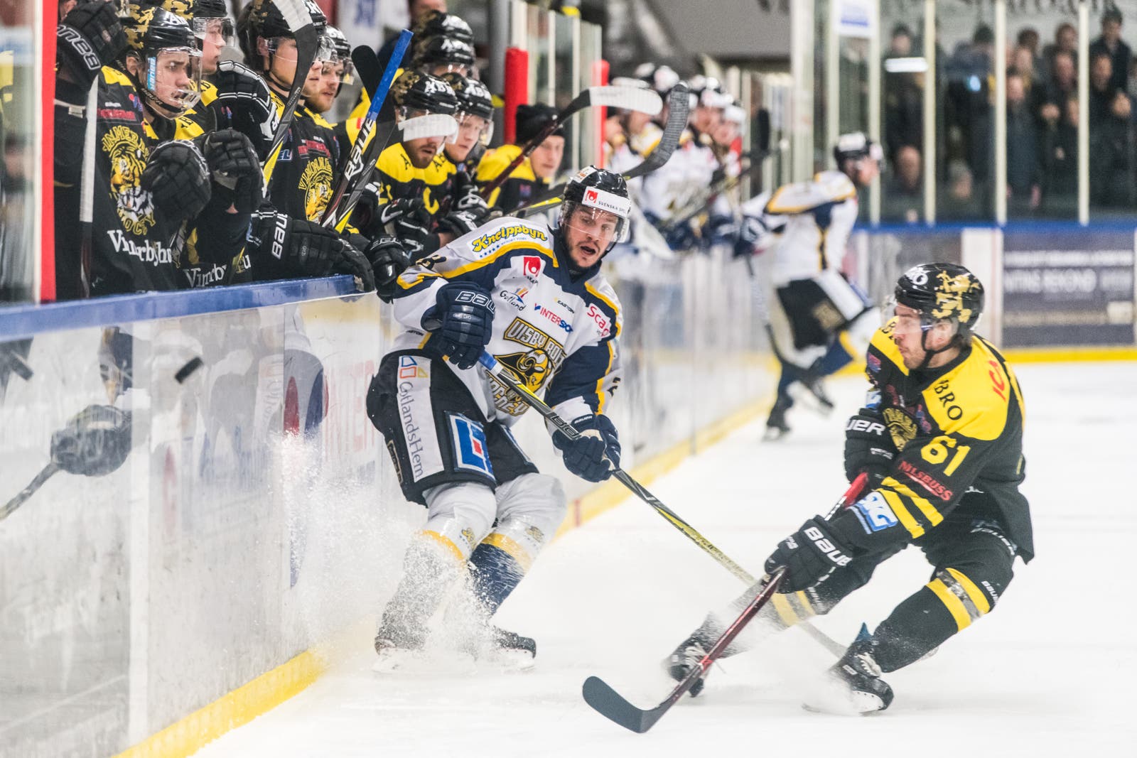 (3065) visby vimmerby