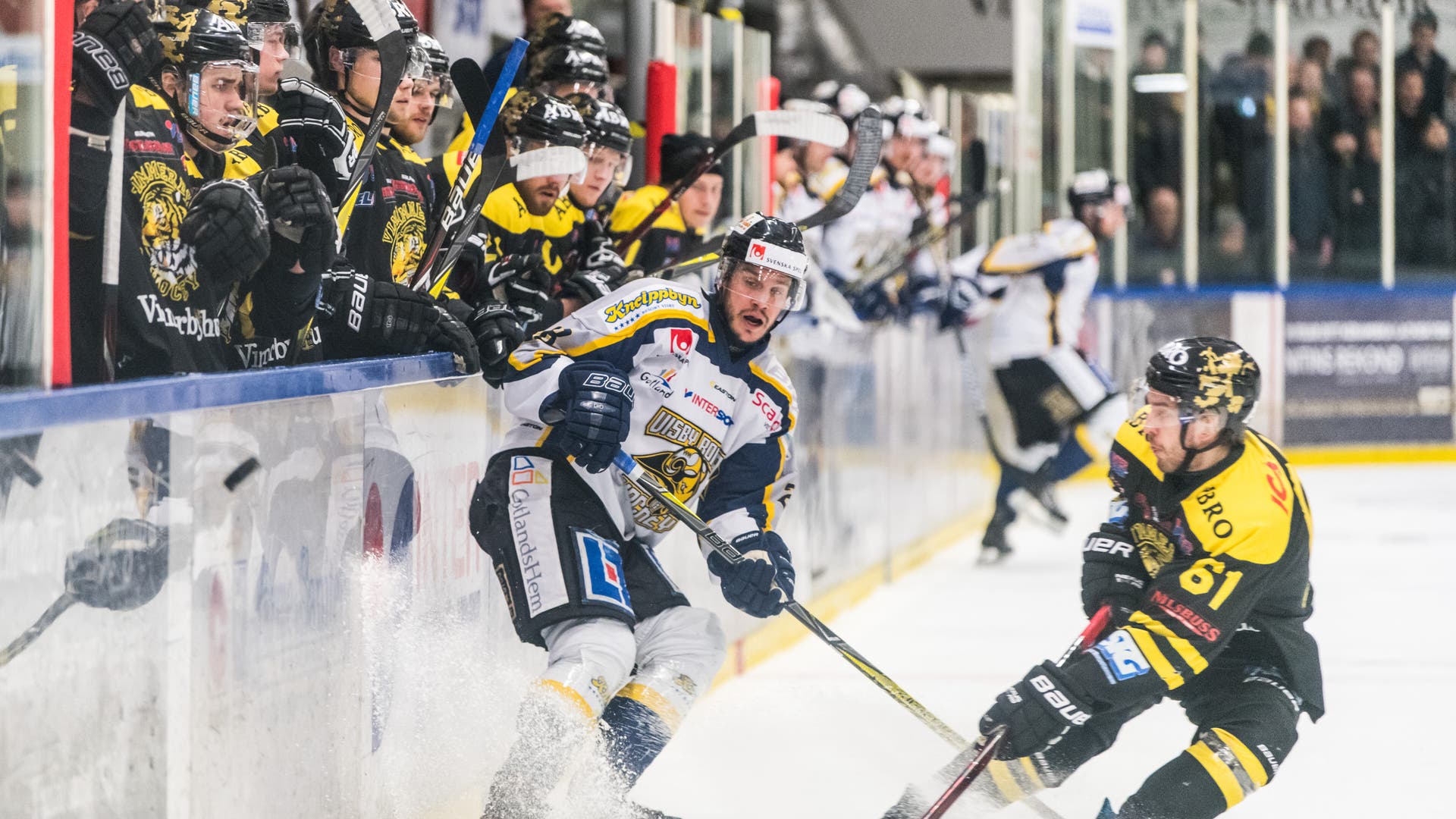 (3065) visby vimmerby