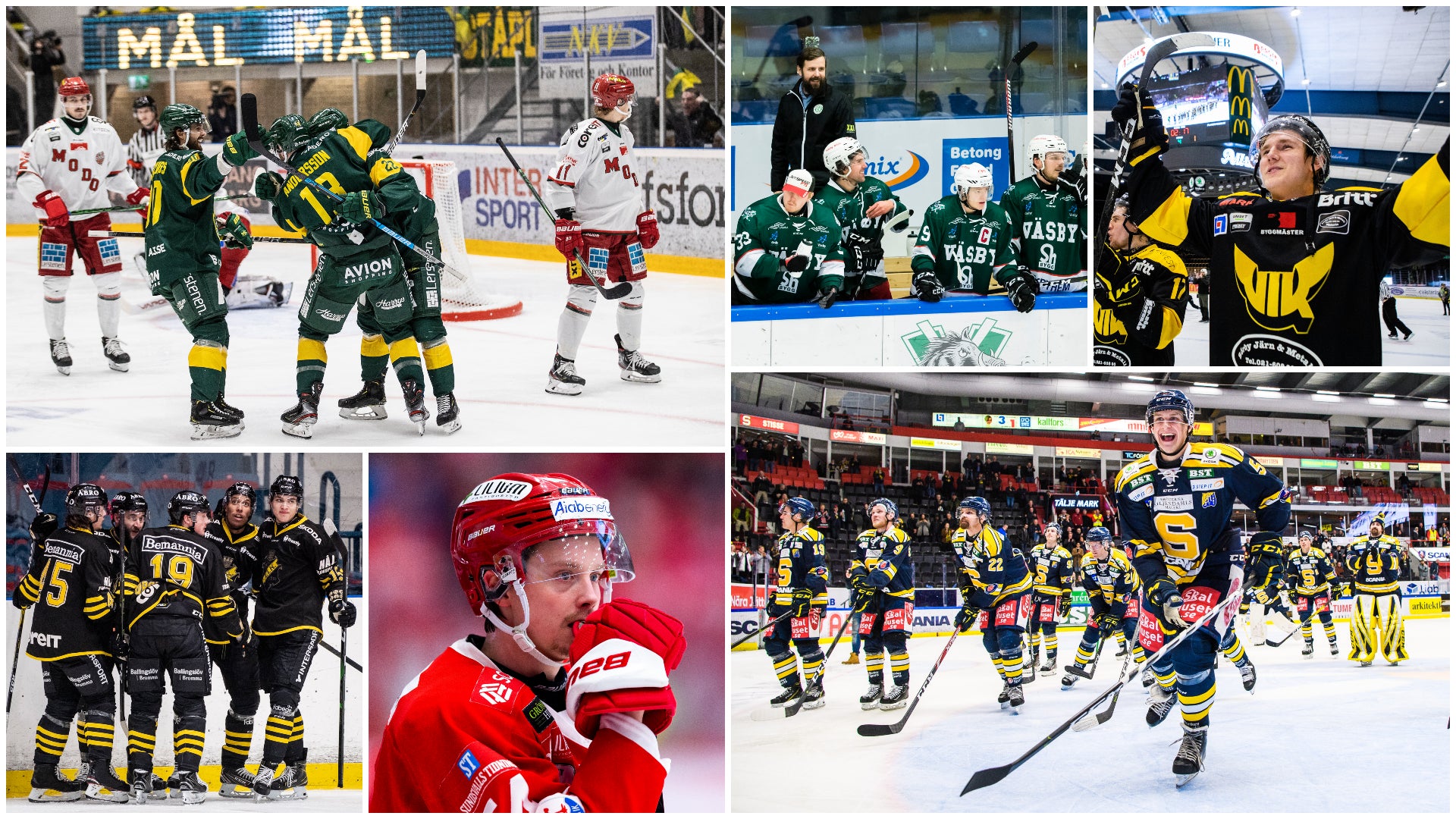Bildbyrån/Montage
