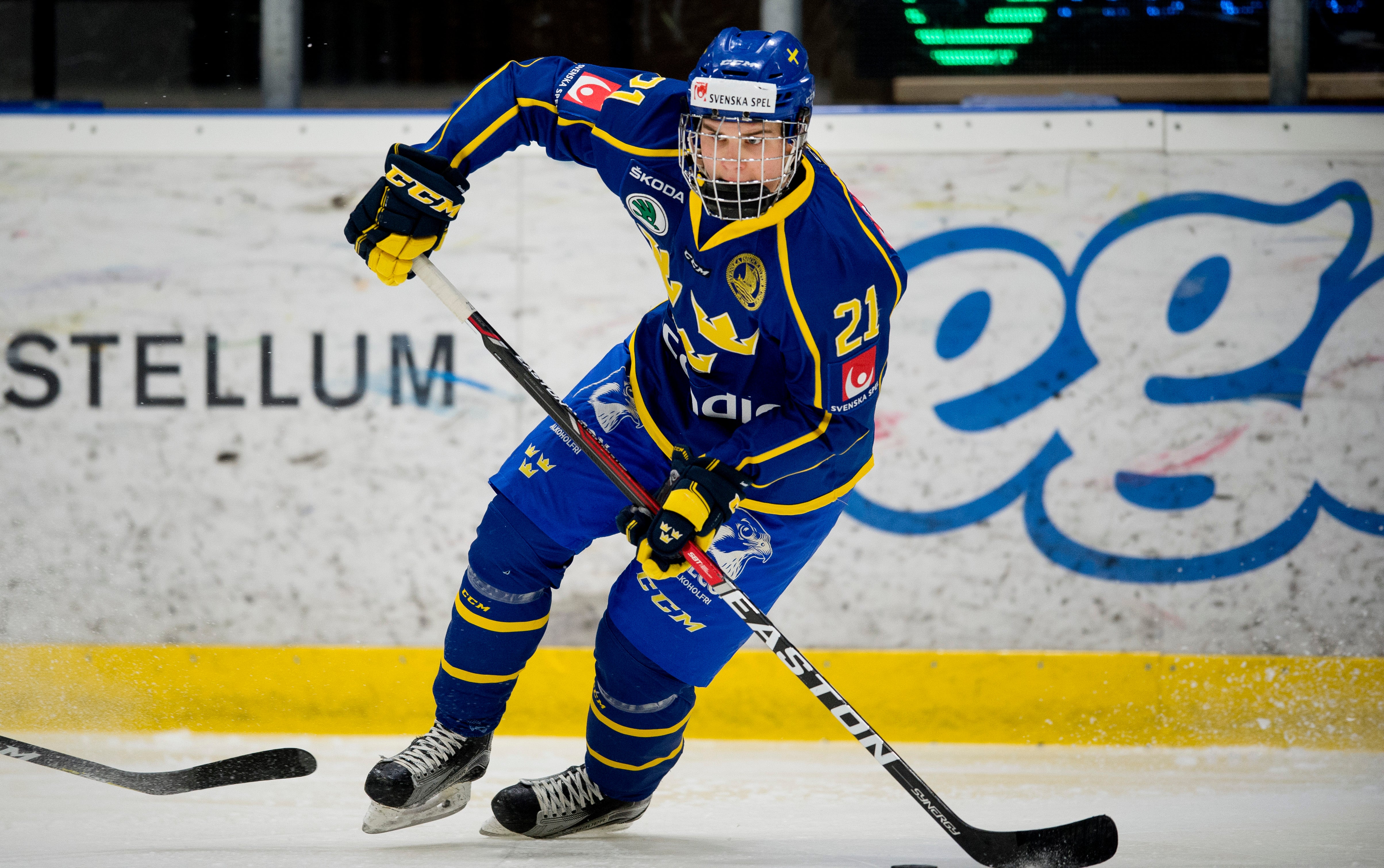 (6299) Lukas Wernblom