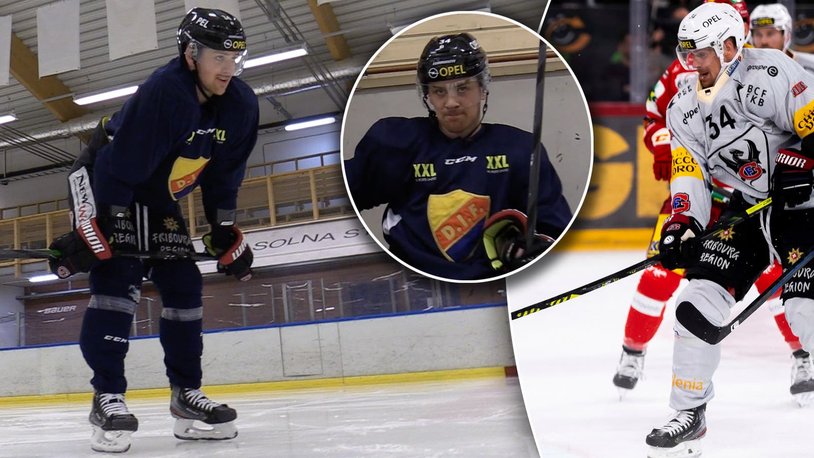 (13604) Daniel Brodin