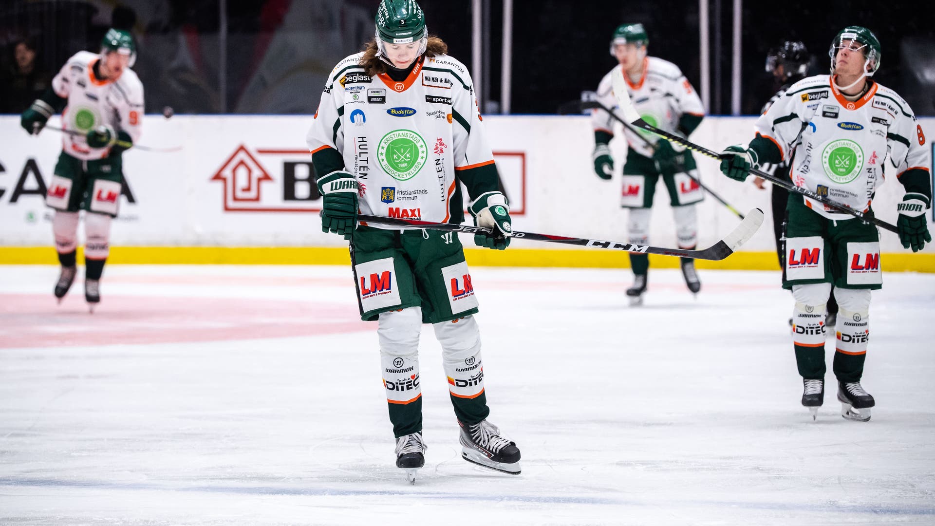 (14381) kollage måndag