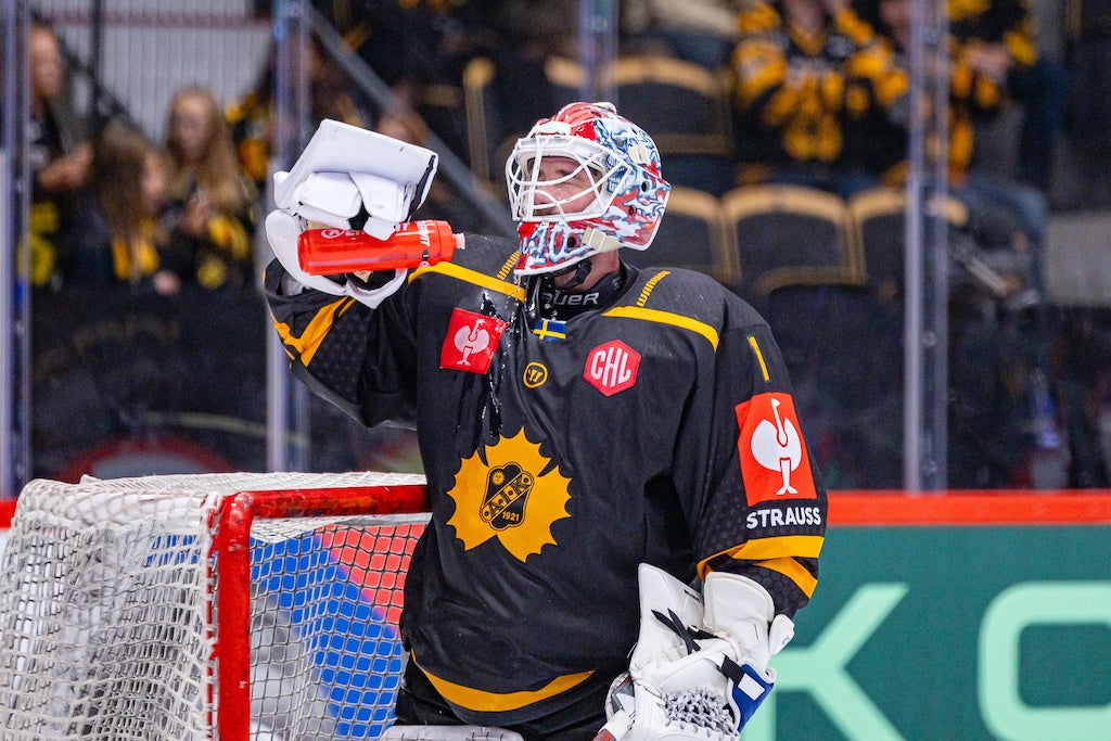 (28856) David Rautio Skellefteå