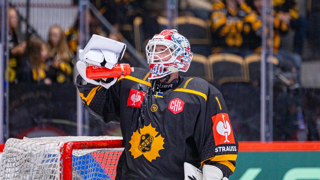 (28856) David Rautio Skellefteå