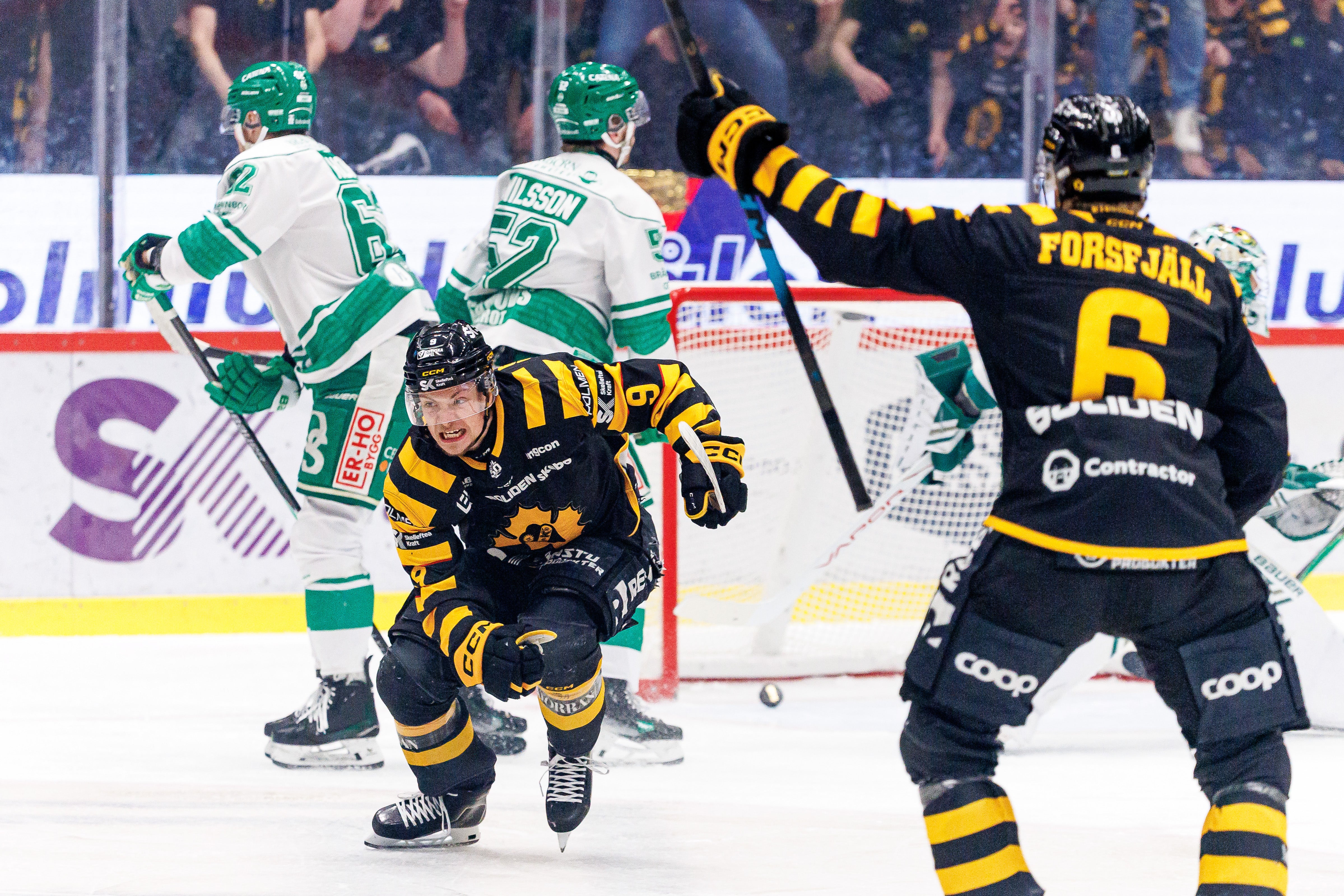 Foto: Fredrik Sundvall/Bildbyrån