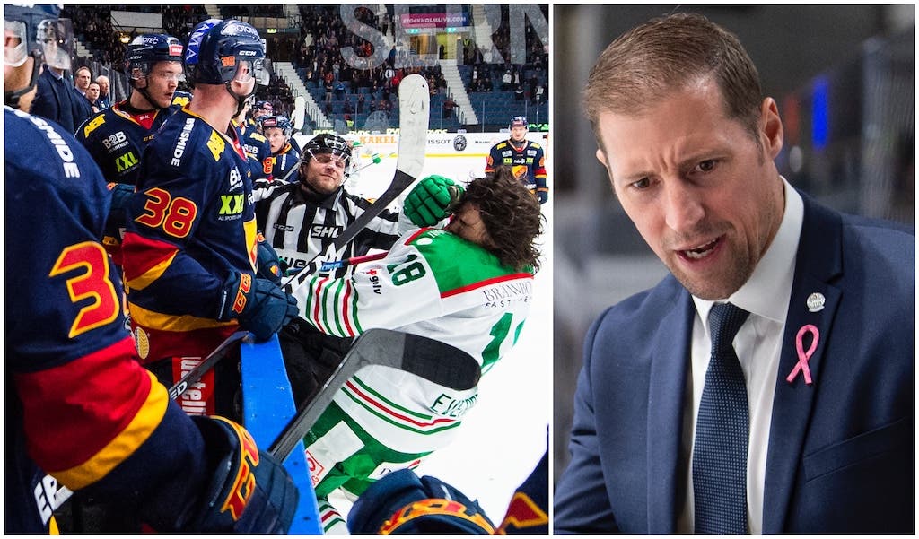 (10609) Cam Abbott/ilska