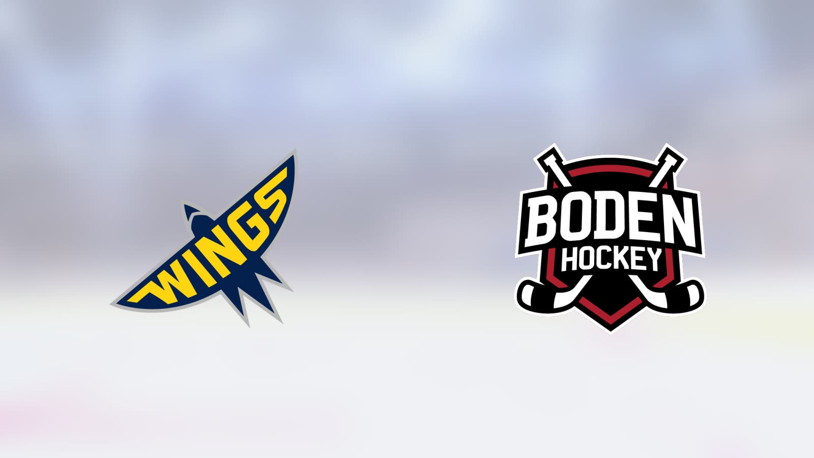 Bodens HF med tre segrar i rad möter Wings Arlanda