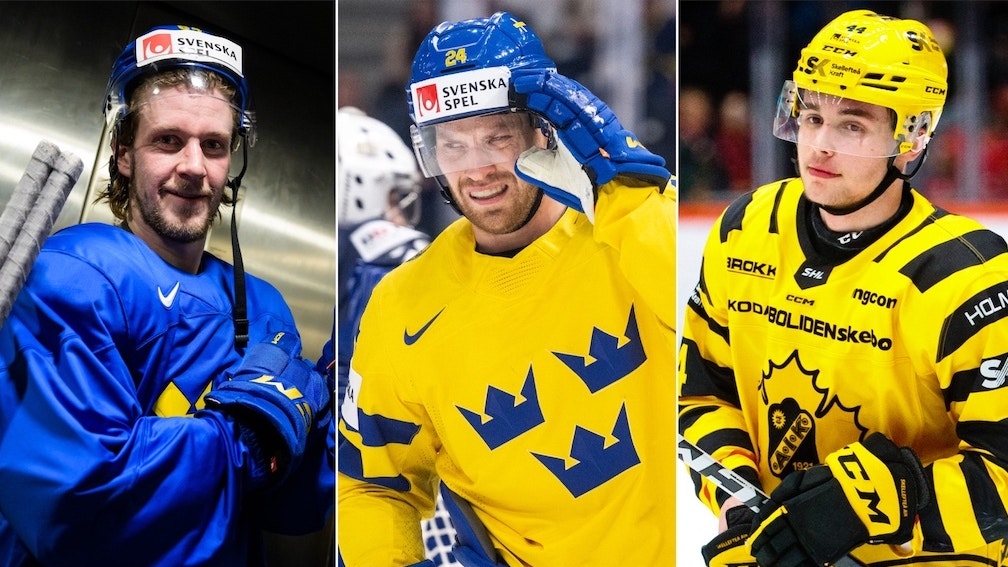 (28181) Pudas Lindberg Salomonsson