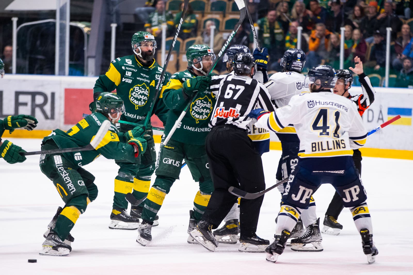 (23376) Björklöven