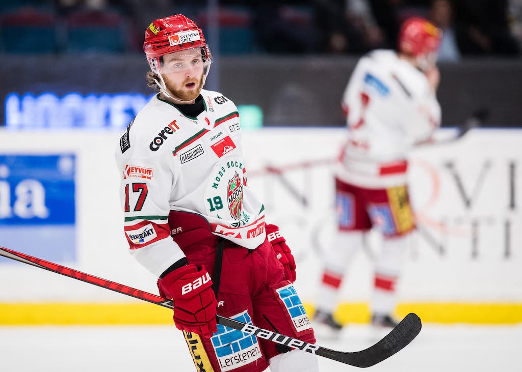 (25376) Riley Woods Modo