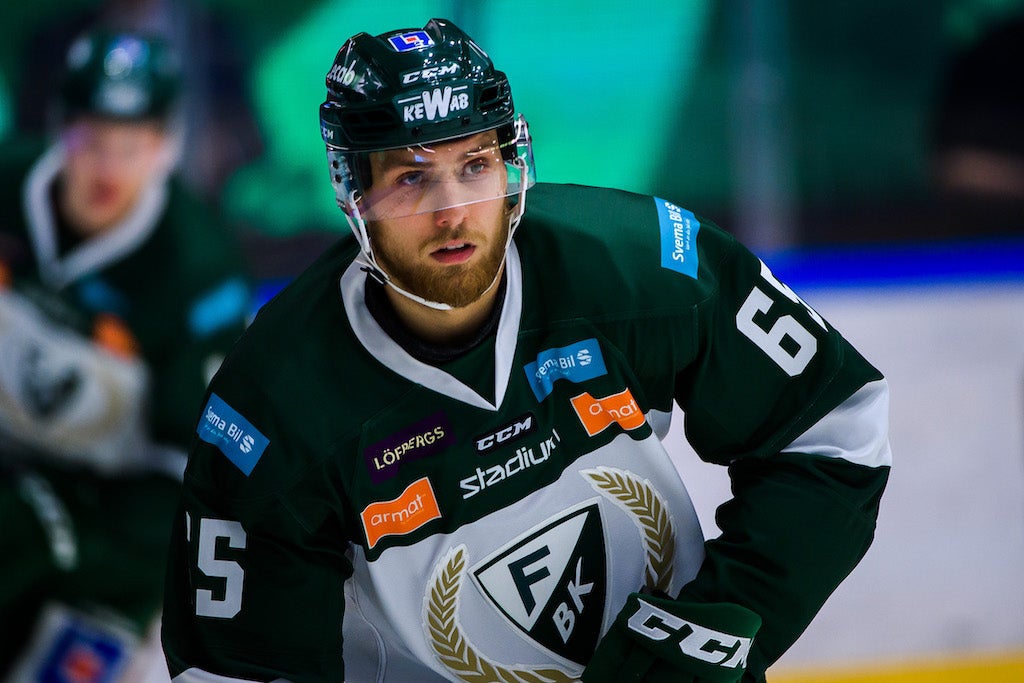 (11481) Vojtech Mozik/Färjestad