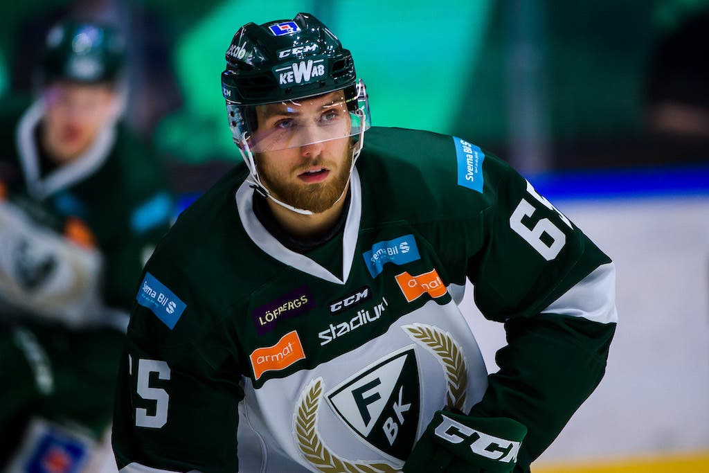 (11481) Vojtech Mozik/Färjestad