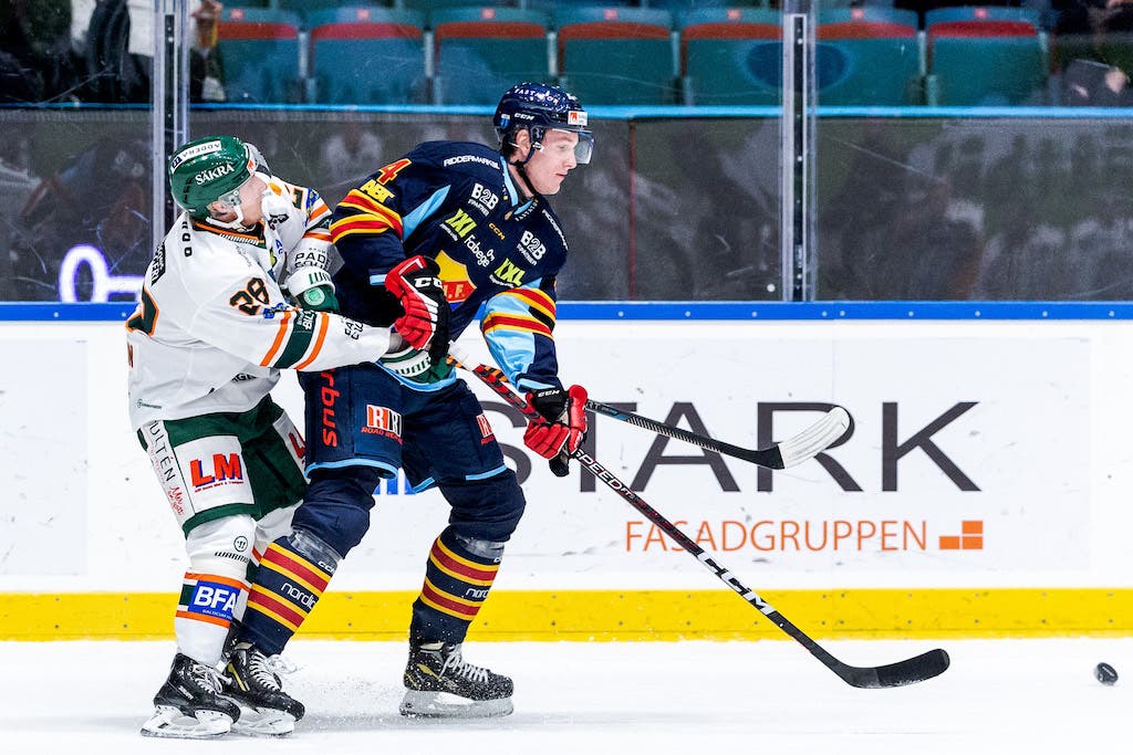 (25793) Edvin Hammarlund Djurgården