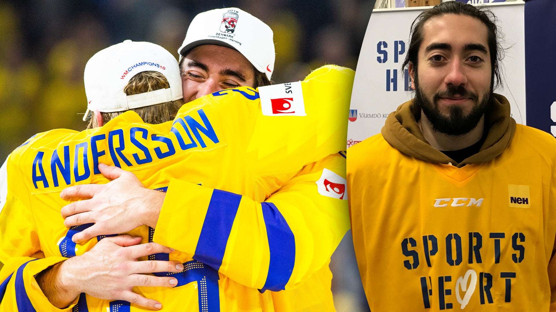 (12300) Mika Zibanejad/Lias Andersson