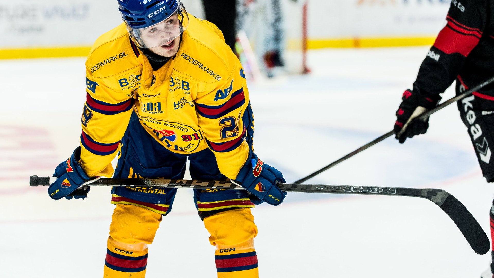 Foto: Christian Öhrnberg/Bildbyrån