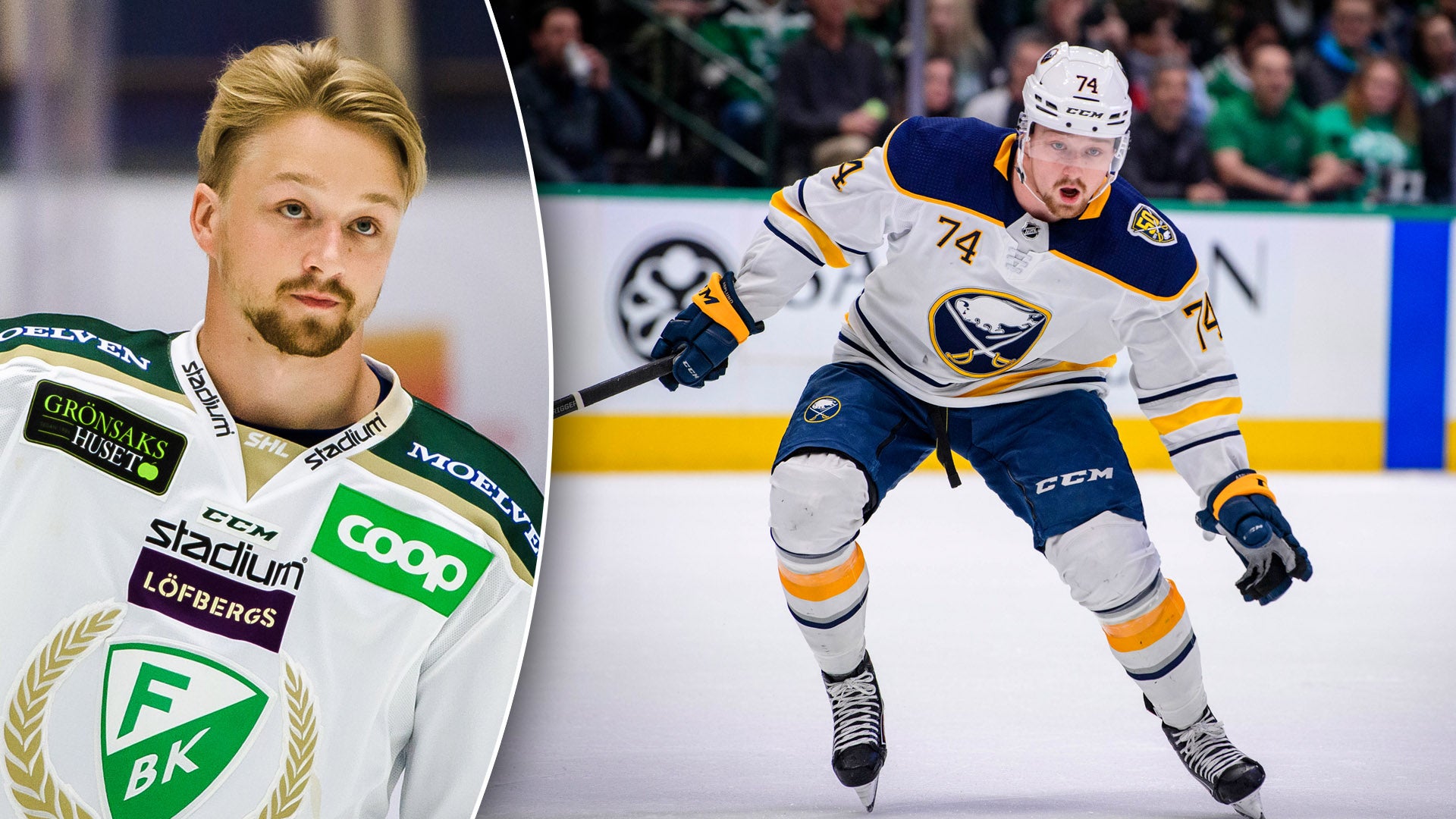 (15086) Rasmus Asplund