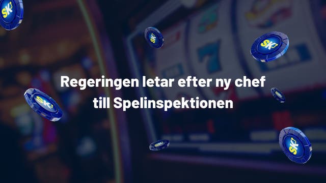 Regeringen letar efter ny chef till Spelinspektionen