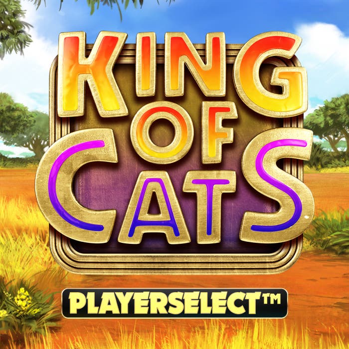 King of Cats