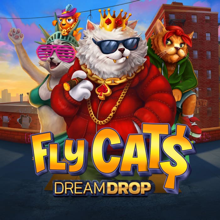 Fly Cats Dream Drop
