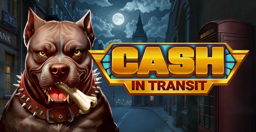 Cash in Transit