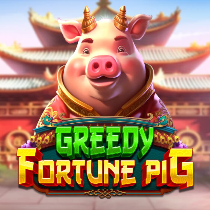 Greedy Fortune Pig