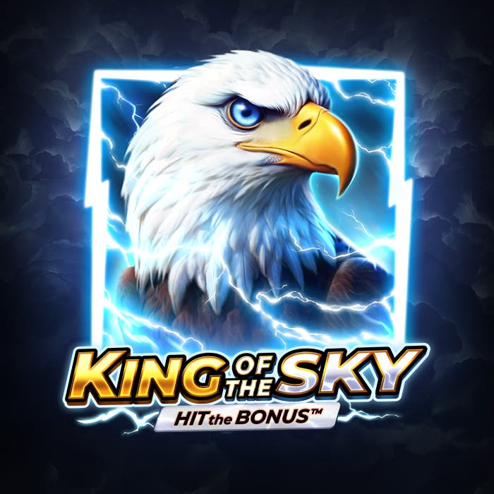 King of the Sky: Hit the Bonus
