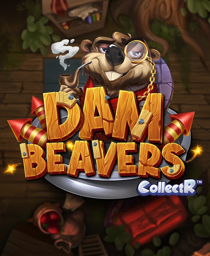 Dam Beavers