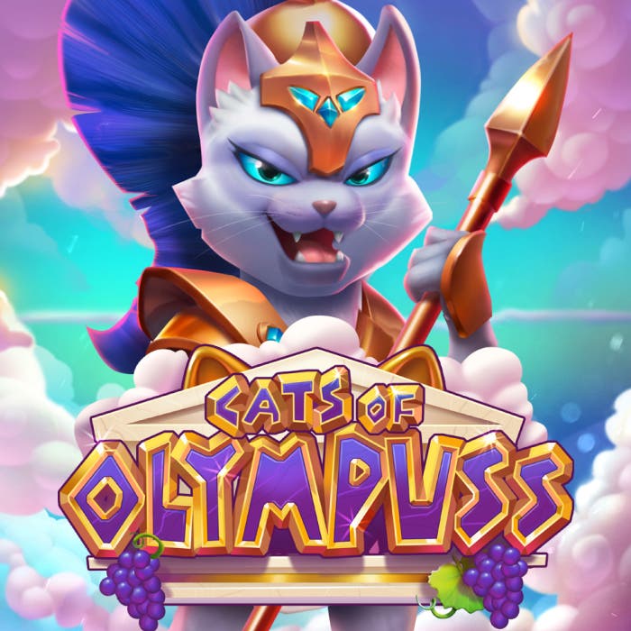 Cats of Olympuss