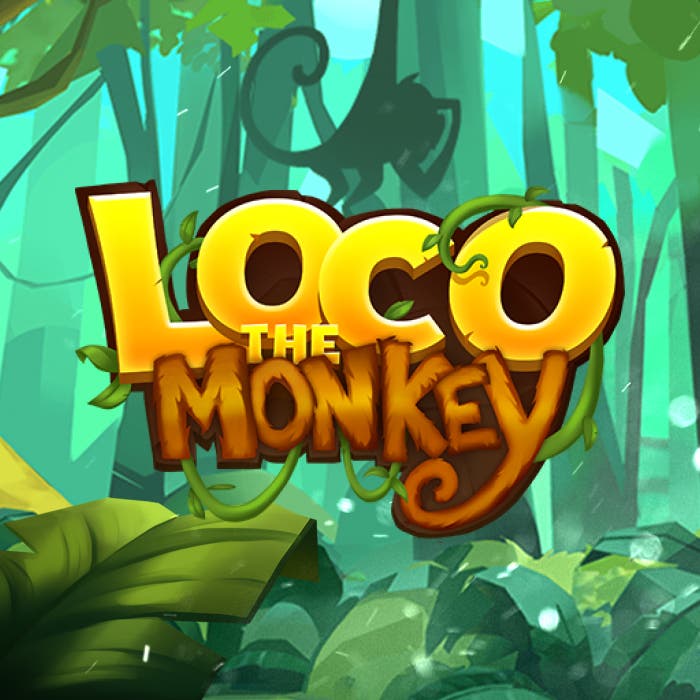 Loco the Monkey
