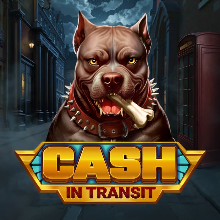 Cash in Transit