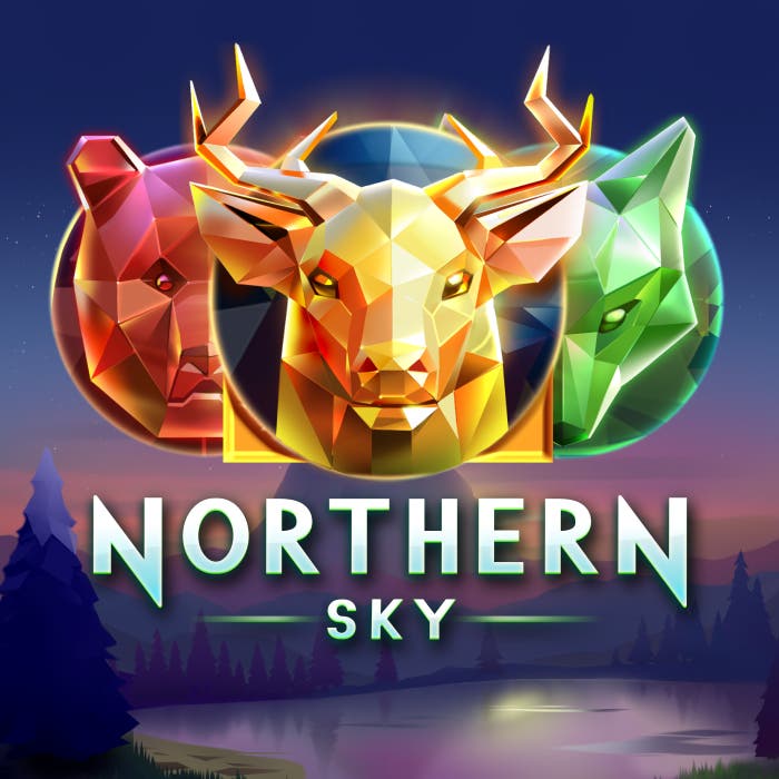 Northern Sky