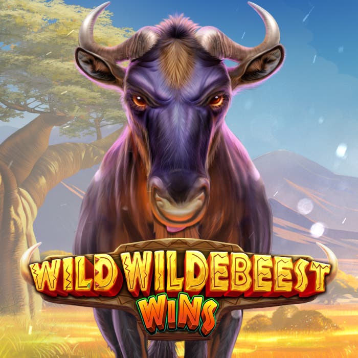 Wild Wildebeest Wins