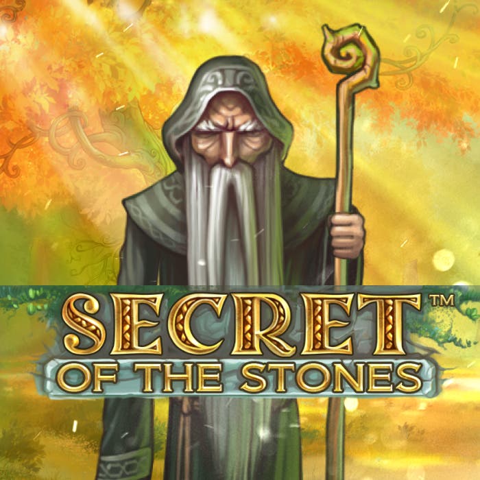 Secret of the Stones Max