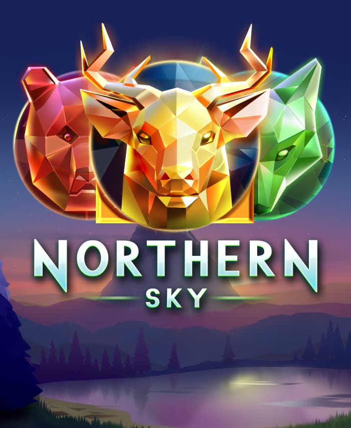 Northern Sky