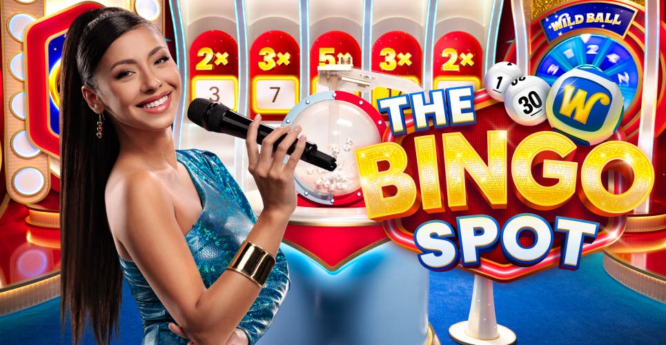 The Bingo Spot