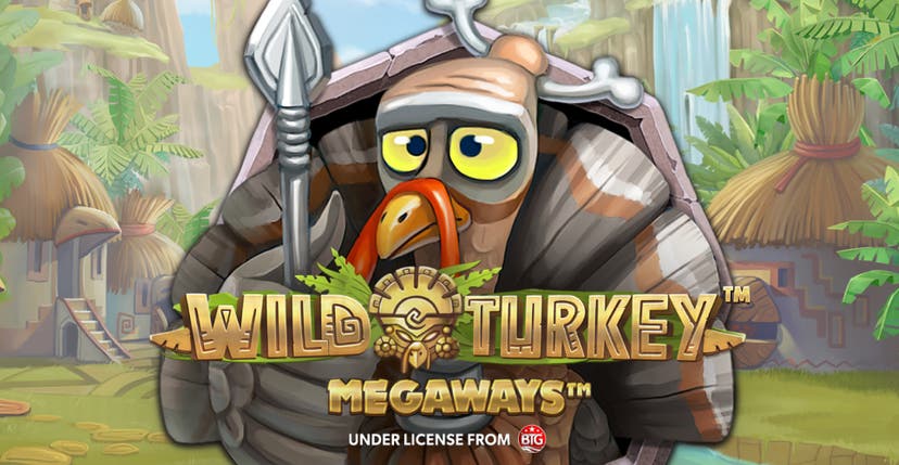 Wild Turkey