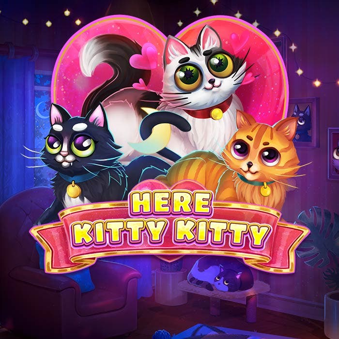 Here Kitty Kitty