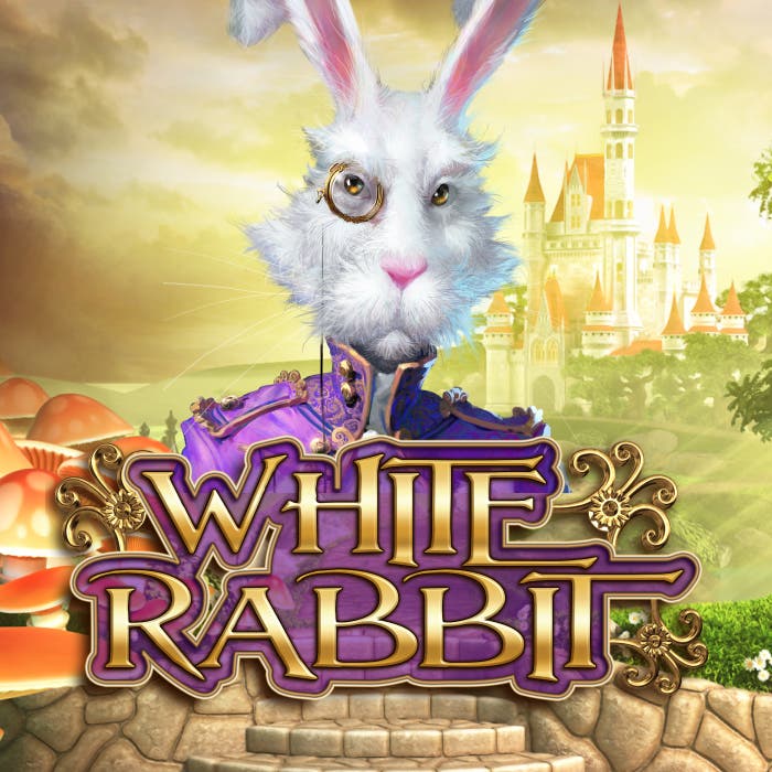 White Rabbit